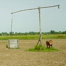 Pozo con cigoñal