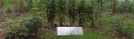 La tumba de Sándor Lénárd y su mujer en Donna Irma